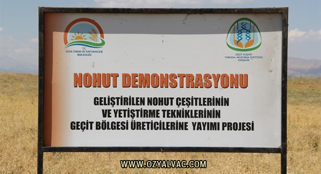 TYYP İçin Yalvaç’ta “NOHUT TARLA GÜNÜ”