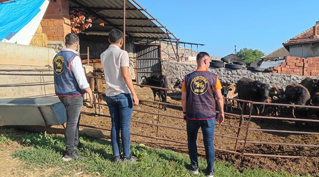 Afyonkarahisar’da çalınan hayvanları Yalvaç Jandarması buldu